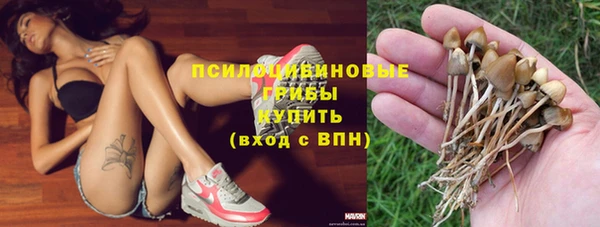 дурь Новокубанск