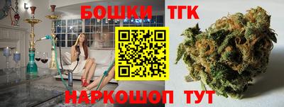СК Гагарин