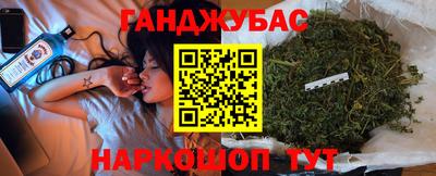 индика Камышлов