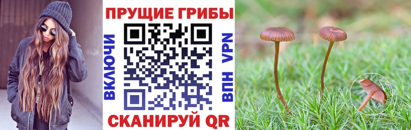 Галлюциногенные грибы MAGIC MUSHROOMS  Кыштым 
