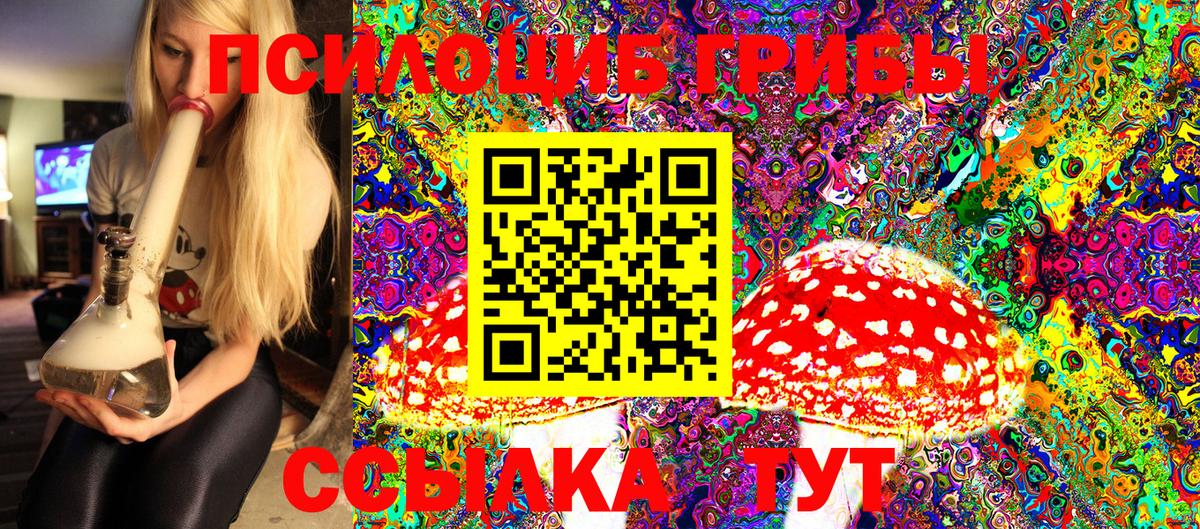 что такое   Кыштым  Галлюциногенные грибы мицелий 